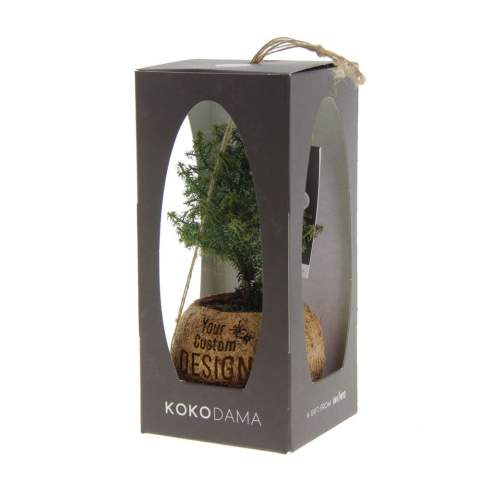 De Kokodama®, een botanische schoonheid die geen plastic bevat en voor 99% natuurlijk en 100% biologisch afbreekbaar is, biedt een unieke en duurzame optie voor relatiegeschenken. Haar bol van kokosvezels creëert een gezellig en duurzaam huis voor trendy en bijzondere planten. Hangend aan het plafond of zittend op een tafel bureau, de Kokodama® kan in elk interieur haar natuurlijke habitat vinden. Gemaakt met de hand in Sri Lanka, draagt de Kokodama® bij aan de lokale economie en stimuleert het vakmanschap. Deze Kokodama® kerstboom variant is het ideale kerstgeschenk voor medewerkers of relaties.<br /><br />Naast het unieke uiterlijk van de Kokodama®, biedt dit product een uitstekende mogelijkheid tot personalisatie met een logo of slogan. Hierdoor wordt het meer dan alleen een decoratief object; het fungeert als een subtiel middel om jouw bedrijf of merk te promoten, of om simpelweg een boodschap over te brengen. Op deze manier bouw je een positieve associatie op met jouw bedrijf of merk, terwijl de Kokodama® op de bureaus van relaties of medewerkers prijkt. De Kokodama® wordt nog leuker om te geven én te ontvangen dankzij de passende FSC geschenkverpakking. Door dit geschenk te geven, toon je niet enkel waardering, maar versterk je ook relaties en betrokkenheid, terwijl je tegelijkertijd een positieve impact hebt op het imago van jouw bedrijf. <br /><br />Heeft u vragen over dit product, de gewenste personalisatie of eventuele verpakkingen? Neem dan gerust contact met ons op.