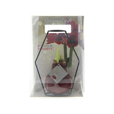 How cool is it to give a luxurious, growing, and blooming gift for once? Allow us to introduce you to our living No Water Flowers®, known for their unique handmade wax Amaryllis bulbs. These specially selected and tested Amaryllis bulbs have enough energy to grow and bloom without water. Authentic No Water Flowers® have relatively short flower stems, they don't topple over, and their blooming is guaranteed. Each No Water Flowers® is carefully cleaned and meticulously waxed to perfection. By placing the No Water Flowers® in the metal Formz, this flower bulb acquires a luxurious and modern appearance. The Original No Water Flowers® are easily recognizable by the square label attached to the bulb. <br /><br />By imprinting your logo or slogan on the No Water Flowers®, you'll stand out among many business associates. This splendid gift won't go unnoticed in a closet; on the contrary, it will find a beautiful spot on the table or the recipient's desk, contributing to your brand's recognition. Offering these personalized No Water Flowers® enhances the sense of connection and appreciation with your company. This high-quality gift can be packaged in a beautiful No Water Flowers® packaging. As a result, presenting this gift becomes an even more enjoyable experience. No packaging with a bottle of wine this time, but packaging with a growing and blooming present.<br /><br />These Amaryllis bulbs require no care. Place the wax Amaryllis in a bright location, but not in direct sunlight, and enjoy the beautiful flowers that will develop within 3 to 5 weeks. Flower bulbs are products from nature, each bulb is unique in itself and has a different shape. <br /><br />No Water Flowers® are available only from September to February. <br />If you have any questions about this product, desired personalization, or packaging options, please feel free to contact us.