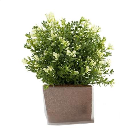 WoW! Zelf je bloemen of kruiden kweken met deze kweekset. De set bestaat uit een waterbestendige kweekzak met een aardeblok van kokos en een zakje zaden van bloemen of kruiden naar keuze: basilicum, peterselie, munt, zonnebloem, vergeet-mij-niet, margriet. Voeg 300 ml water toe aan de zak met geperste aarde en er vormt zich 1 liter tuincompost waar je de zaadjes in kunt planten. Naast dat het leuk is om je eigen kruiden of bloemen te kweken, draagt dit geschenk bij aan het op peil houden van een gezonde bijenpopulatie. Ideaal om te verzenden als brievenbusgeschenk. Inclusief een gepersonaliseerde kartonnen sleeve in full colour. Made in Europe.