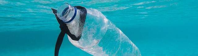 Plastic water bottle floating in the ocean