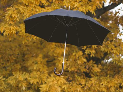 Paraplu's